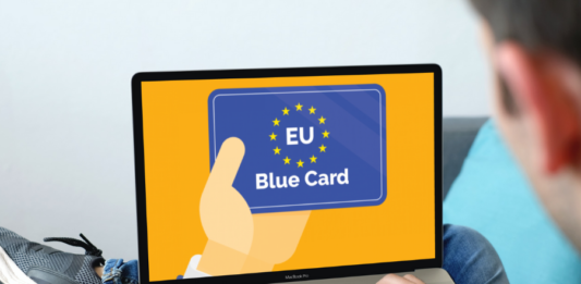 AB Mavi Kart (EU Blue Card) Nedir?